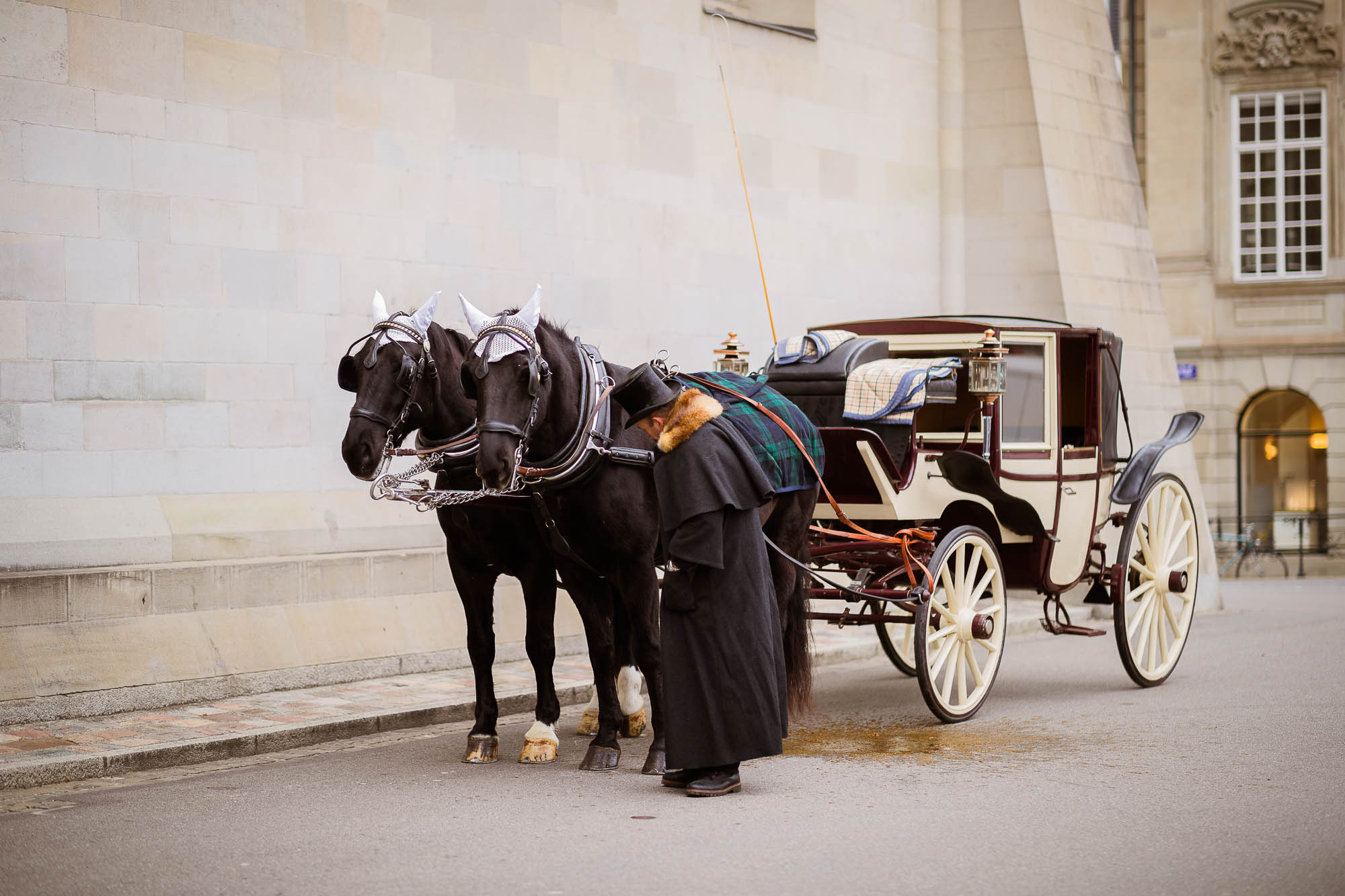 Export x3 1DX20807 Hochzeit 2020 Andrea & Joel